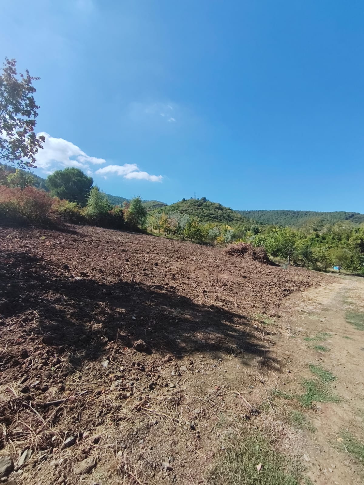 460 m2 4 KAT İMARLI YALOVA HARMANLAR MAHALLESİ ARSA 